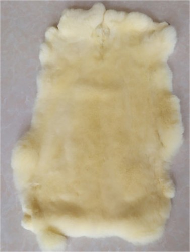 1pcs beige rex rabbit hide - rabbit,