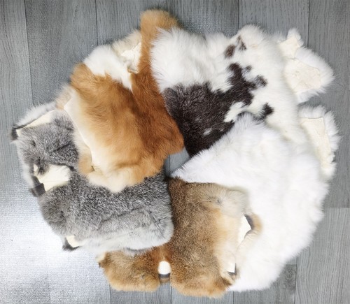 Tanned rabbit hide skin - hide,