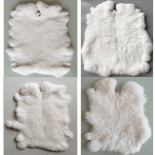 4pcs white rabbit - skin, pelt