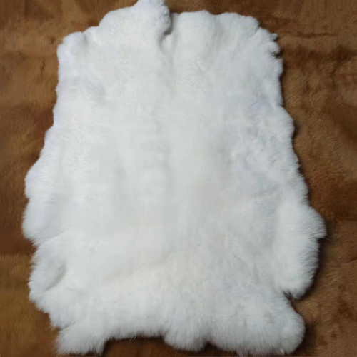 1pcs rex rabbit skin - rabbit,