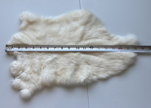 White rabbit fur - rabbit, soft