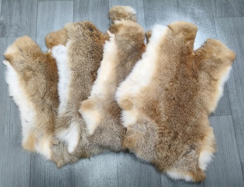 High quality tanned rabbit - quality,