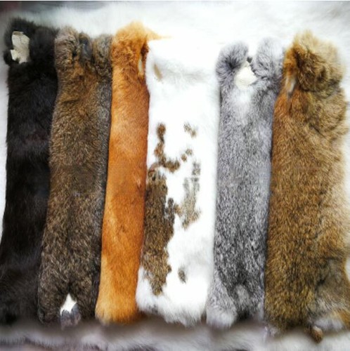 5pcs real farm rabbit skin - 5pcs,